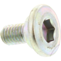 Schraube Bremsscheibe f&uuml;r: Kawasaki Originalersatzteil 92002-1775