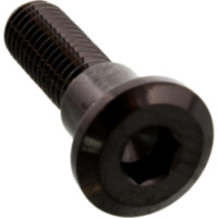 Schraube Bremsscheibe SSDISCTRIFRBK