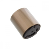 Bremssattelkolben hinten