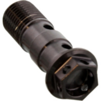 Hohlschraube doppelt M10 x 1.00 LSSBANJOD10FRBK