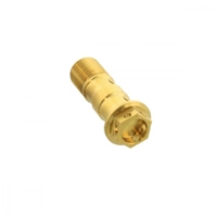 Hohlschraube doppelt M10 x 1.00 LSSBANJOD10FRG