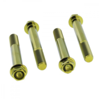 Schraube Bremssattel Satz TIFBMON340G