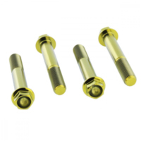 Schraube Bremssattel Satz TIFBMON350G