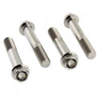 Schraube Bremssattel Satz TIFBMON350R