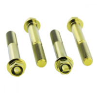 Schraube Bremssattel Satz TIFBMON360G