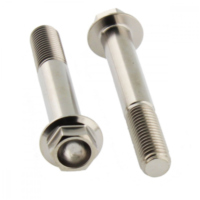 Schraube Bremssattel Satz TIFBMON590