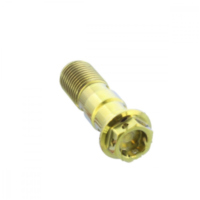 Hohlschraube doppelt M10 x 1.00 TIBANJOD10FRG