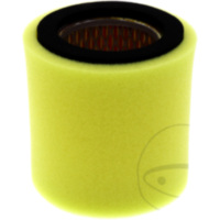 Luftfilter Originalersatzteil 1012890