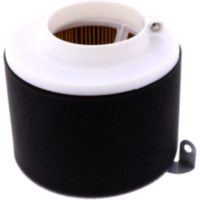 Luftfilter Originalersatzteil 1056135