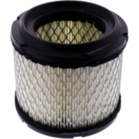 Luftfilter Originalersatzteil 1061867