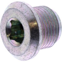 &Ouml;lablassschraube magnetisch Originalersatzteil 1123460