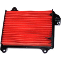 Luftfilter Hiflo HFA1209