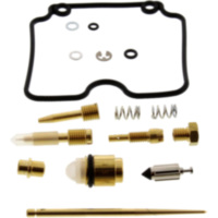 Vergaser Reparatursatz Tourmax CABDY14