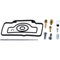 Vergaser Reparatursatz All Balls Racing 261739