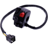 Schalter MULTIFUNKTION Domino 0060AA9A0404