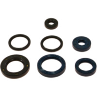 Simmering Wellendichtring Satz P400420400009