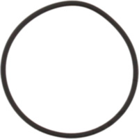 O-Ring 1X24MM Athena