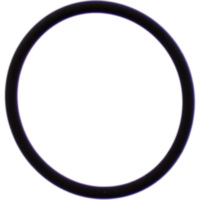 Kr&uuml;mmerdichtung O-Ring Athena M753003800094
