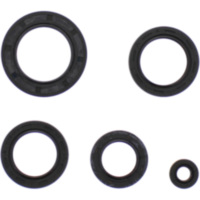 Simmering Wellendichtring Satz Athena P400210400118