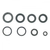 Simmering Wellendichtring Satz Athena P400550400004