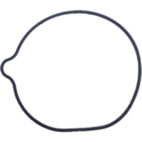 Dichtung Wasserpumpen Deckel Athena S410210024033