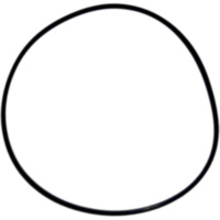 Ventildeckeldichtung O-Ring 2.62X120.33 MM