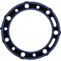 Zylinderkopfdichtung Athena S410060001020