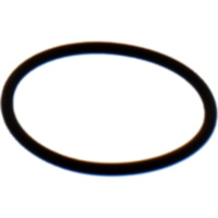 Kr&uuml;mmerdichtung O-Ring Athena M752503700094
