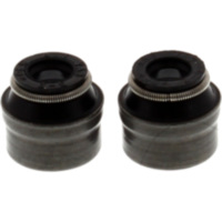 Ventilschaftdichtung Satz JMP 7342676