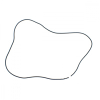 Variomatikdeckeldichtung f&uuml;r: Yamaha Originalersatzteil 2MB-E5379-00