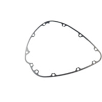 Lichtmaschinendeckeldichtung Originalersatzteil 110601892