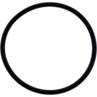 Kr&uuml;mmerdichtung O-Ring Athena M753005400094