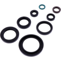 Wellendichtring Satz Athena P400210400319