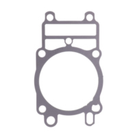 Zylinderfussdichtung Originalersatzteil 110610335