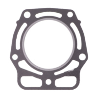 Zylinderkopfdichtung Originalersatzteil 110042107