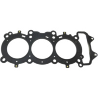 Siegel Zylinderkopfdichtung Originalersatzteil 975840