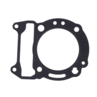 Siegel Zylinderkopfdichtung Originalersatzteil 976737