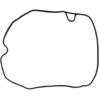 Ventildeckeldichtung Originalersatzteil 1017027