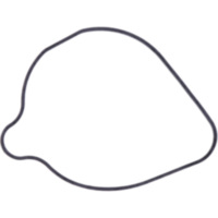 Dichtung Wasserpumpe Deckel Athena 1037963