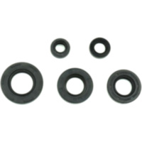 Wellendichtring Satz Athena P400510400002
