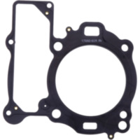 Zylinderkopfdichtung hinten Originalersatzteil 1074213