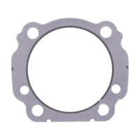 Zylinderkopfdichtung Originalersatzteil 1074219