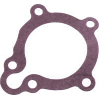 Dichtung &Ouml;lsieb Originalersatzteil 1102202