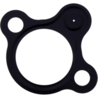 Dichtung Steuerkettenspanner Originalersatzteil 1105867