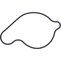 Dichtung Wasserpumpe Deckel Originalersatzteil 1109034