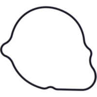 Dichtung Wasserpumpe Deckel Originalersatzteil 1109050