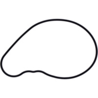 Dichtung Wasserpumpe Deckel Originalersatzteil 1109052