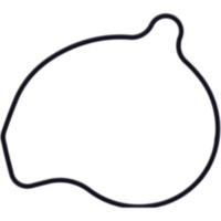 Dichtung Wasserpumpe Deckel Originalersatzteil 1109069