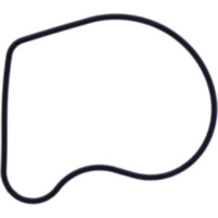 Dichtung Wasserpumpe Deckel Originalersatzteil 1109074