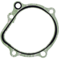 Dichtung Wasserpumpe Deckel Originalersatzteil 1109154